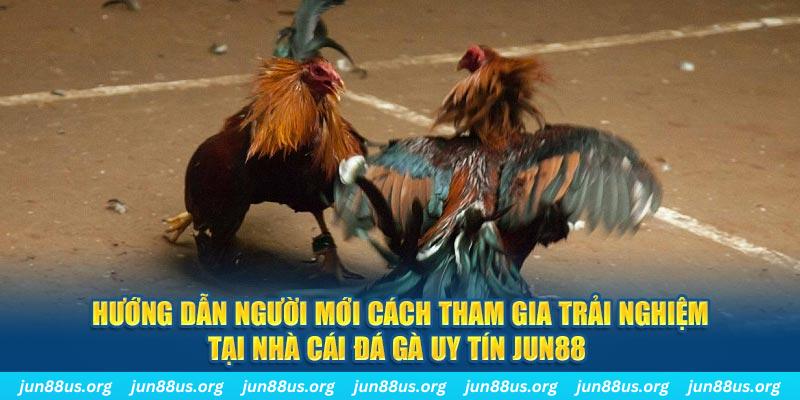 nổ hũ neko may mắn