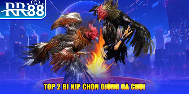 ee88 app đăng nhập roulette dễ thắng