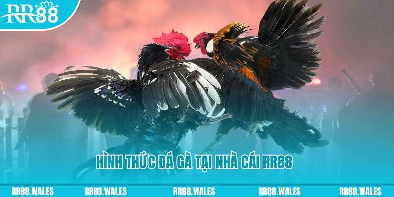 ee88 app PS Điện Tử