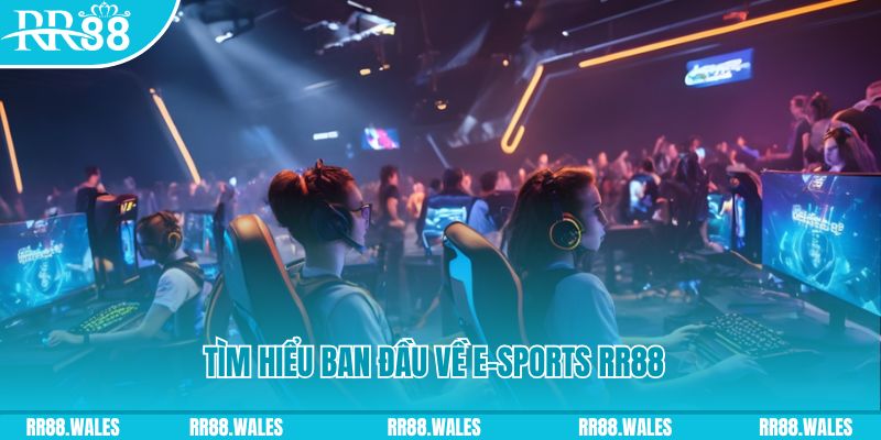 ee88 app Đĩa màu ace