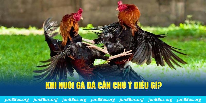 ee88 app bắn cá h5 chơi ngay