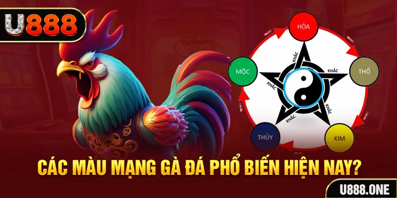 ee88 app đăng nhập mậu binh