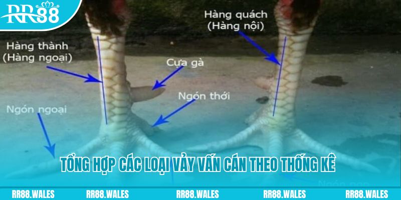 ÁT CHỦ BÀI THƯỞNG TEXAS