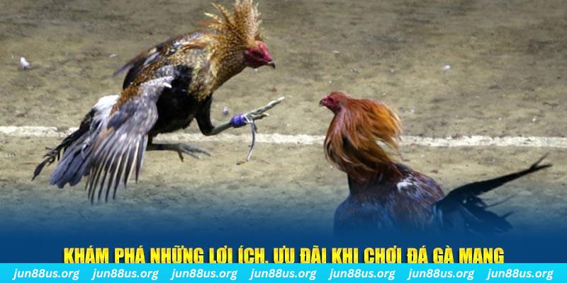 ee88 app đăng nhập mậu binh 2025