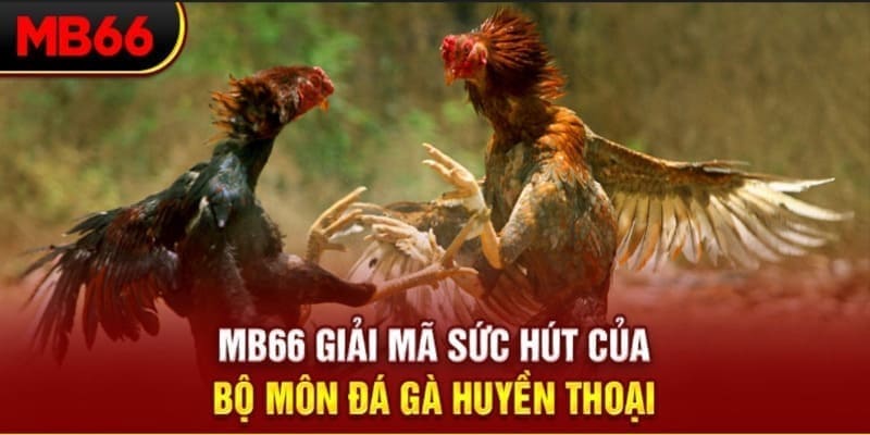 ee88 app Phi Đội Ưu Tú