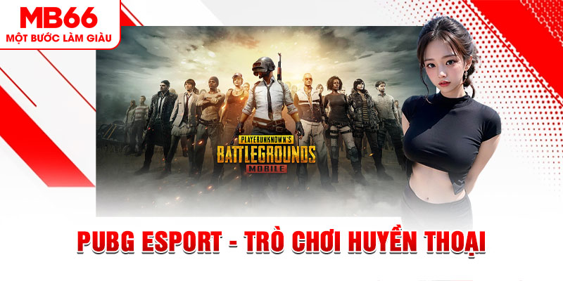 PA Trực Tuyến