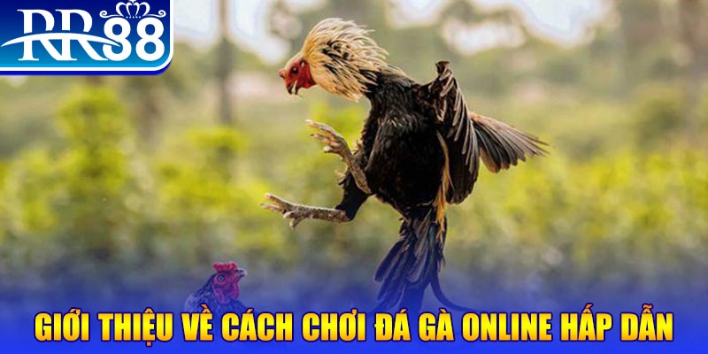ee88 app sổ xô miên bắc