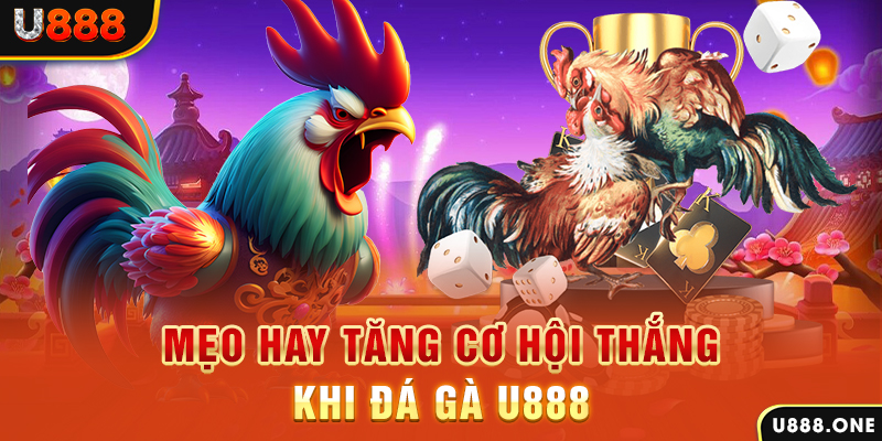ee88 app trực tiếp gà chọi c1