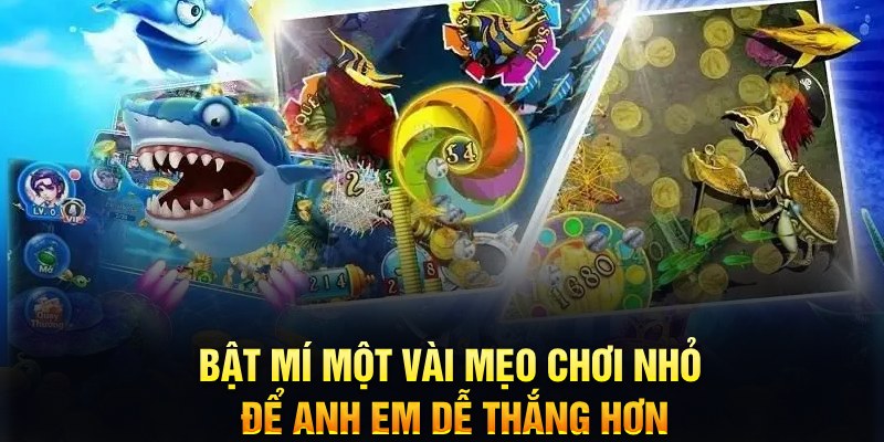 ee88 app xổ số miền bắc thứ năm