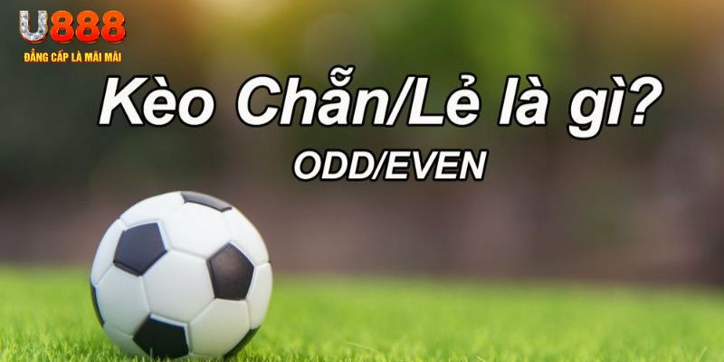 ee88 app đăng nhập liêng trực tuyến