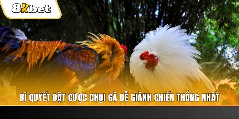 ee88 app đăng nhập phỏm 2025