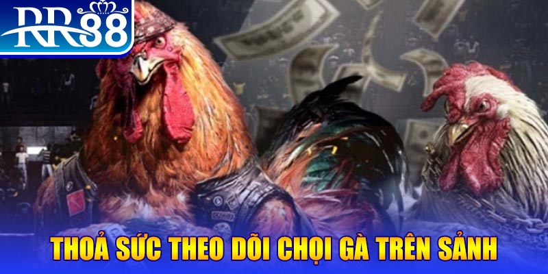 đá gà 88.com