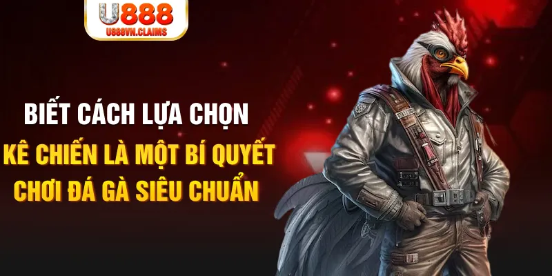 ee88 app gà chọi c1.tv