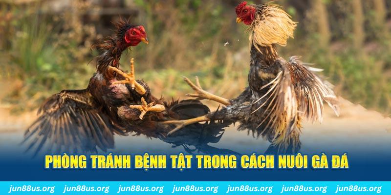 ee88 app YGR Điện Tử