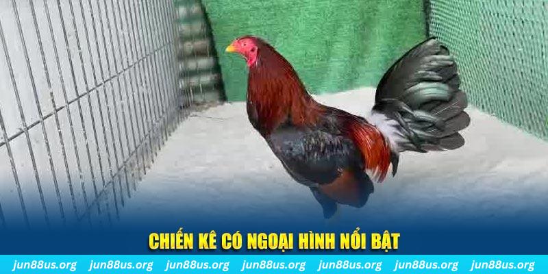 ee88 app xổ số khánh hòa