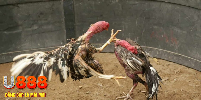 game nổ hủ máy bay